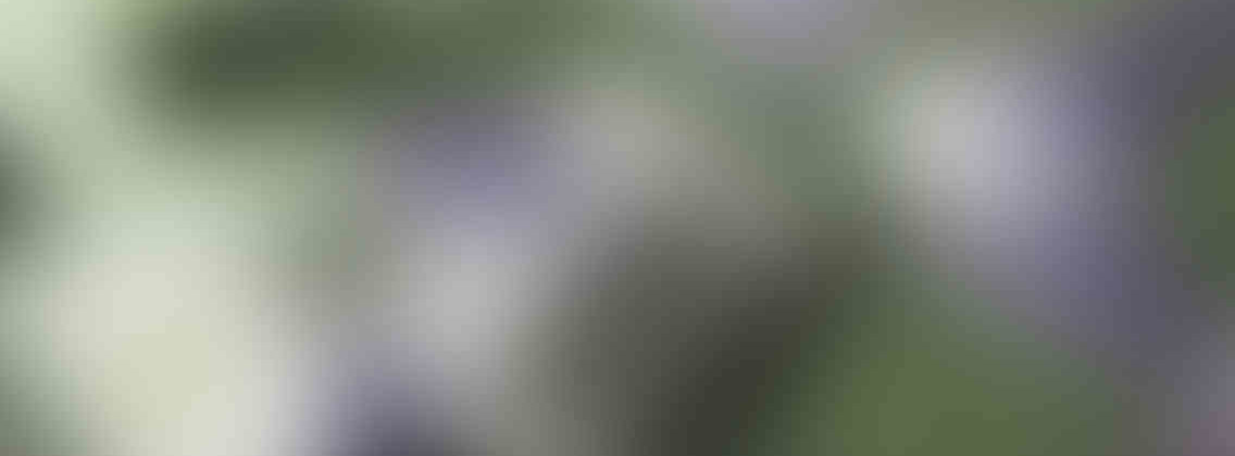 https://tlm.net.za/wp-content/uploads/2013/03/relay_slide_3_v01-1136x420.jpg