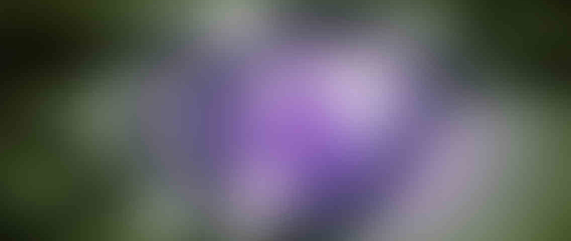 https://tlm.net.za/wp-content/uploads/2013/03/standout_slide_3_v01-1136x480.jpg